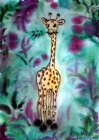 Giraffe im grünen Wald.tif